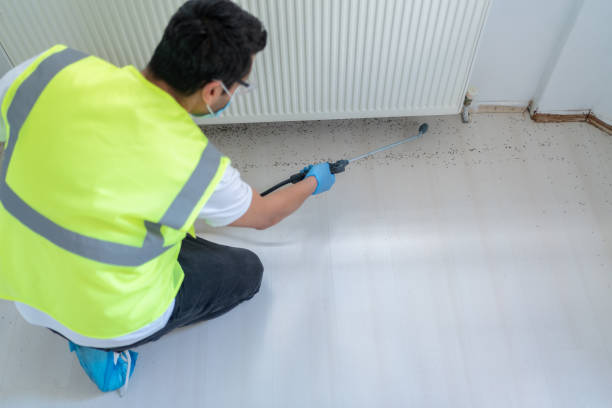 Best Fumigation Services  in Third Lake, IL